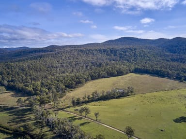 Property Lot 1, 233 Ferndale Road, BICHENO TAS 7215 IMAGE 0