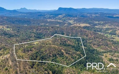 Property 206 Sargents Road, Kyogle NSW 2474 IMAGE 0