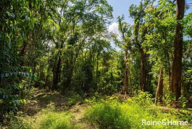 Property Lot 2 Gorge Road, Mossman Gorge QLD 4873 IMAGE 0