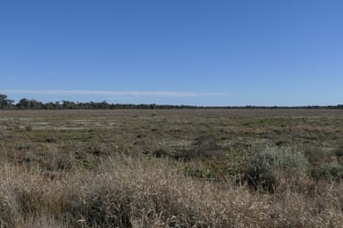 Property 10049 Mitchell Highway West, Coolabah NSW 2831 IMAGE 0