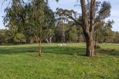 Property 367 Sullivans Road, Millbrook VIC 3352 IMAGE 0