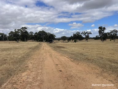 Property 204 Cullalla Road, Mooliabeenee WA 6504 IMAGE 0