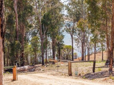 Property Lot 6 'Pittosporum Place', Boyd Road Kiah Via, Eden NSW 2551 IMAGE 0