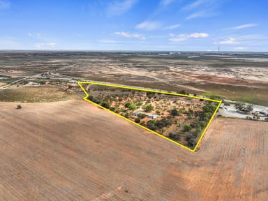 Property 12210 Augusta Highway., NAPPERBY SA 5540 IMAGE 0