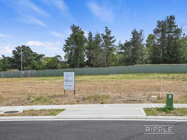 Property Lot 20 Magus Terrace, Old Beach TAS 7017 IMAGE 0