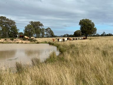 Property Lot 1 & 3 Kampfs Road, Goombungee QLD 4354 IMAGE 0