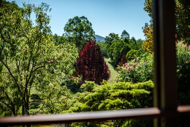 Property 39 Reids Road, BELLINGEN NSW 2454 IMAGE 0