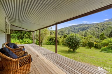 Property 239 McClelland Road, Barkers Vale NSW 2474 IMAGE 0