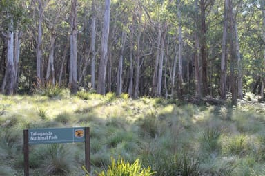 Property 5227 Captains Flat Road, Braidwood NSW 2622 IMAGE 0