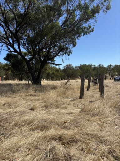 Property 27 Barndon Street, Spencers Brook WA 6401 IMAGE 0