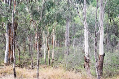 Property Lot 67, 0 Stonehenge Road, Leyburn QLD 4365 IMAGE 0