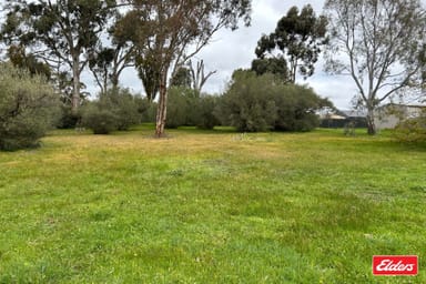 Property Lot 101 Church Street, Williamstown SA 5351 IMAGE 0