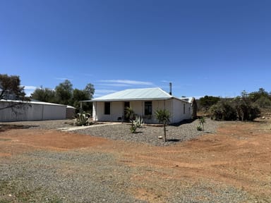 Property "Peechara Hills East Barrier Hwy, Nackara SA 5440 IMAGE 0