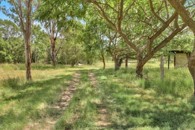 Property 186 Mount Barney Road, Barney View QLD 4287 IMAGE 0