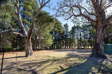 Property 99 Whittakers Lane, Riddells Creek VIC 3431 IMAGE 0