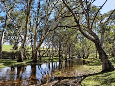 Property BEETALOO VALLEY SA 5523 IMAGE 0