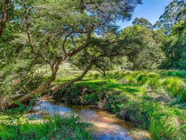 Property 1252 Yarramalong Road, Wyong Creek NSW 2259 IMAGE 0