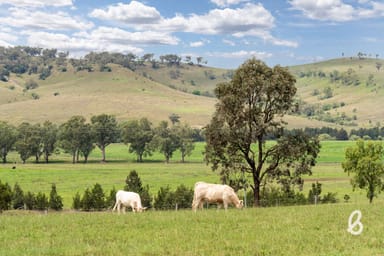 Property 2487 Jerrys Plains Road, Singleton NSW 2330 IMAGE 0