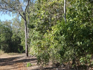 Property 20 Myrmidon Circuit, Dundee Beach NT 0840 IMAGE 0