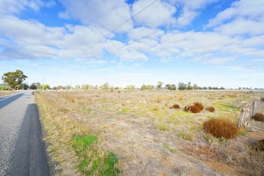 Property Lots 1-2 and Lot 1 Kerang-Macorna Road, MACORNA VIC 3579 IMAGE 0