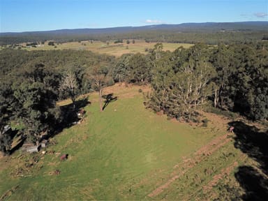 Property 1796 Bendoc-Orbost Road, Bendoc VIC 3888 IMAGE 0