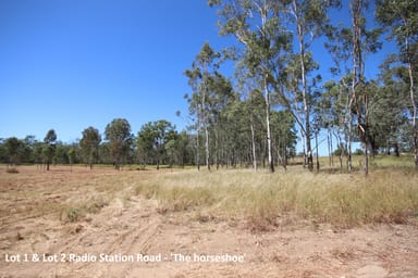Property 0 Radio Station Road & Racecourse Road, EIDSVOLD QLD 4627 IMAGE 0