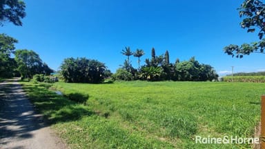 Property 39 McDowall Lane, Lower Daintree QLD 4873 IMAGE 0