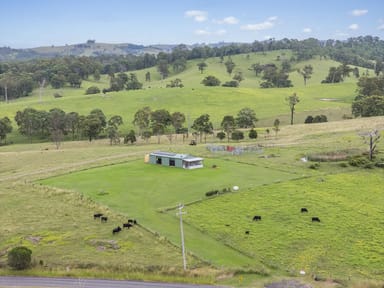 Property 3883 Clarence Town Road, Brookfield Via, DUNGOG NSW 2420 IMAGE 0