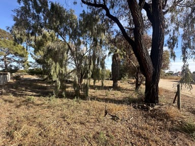 Property Lot 5 Lipson Rd, Kadina SA 5554 IMAGE 0