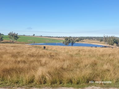 Property 109 Gowrie Road, Inverell NSW 2360 IMAGE 0