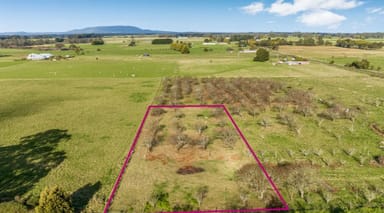 Property 703A James Lane, Trentham East VIC 3458 IMAGE 0