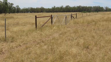 Property Mooroobie Lane, Goondiwindi QLD 4390 IMAGE 0