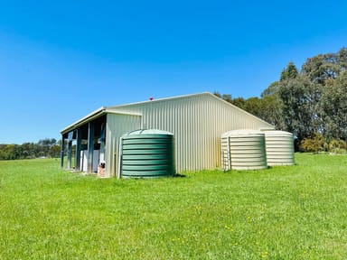 Property 601 McEachern Lane, TUMBARUMBA NSW 2653 IMAGE 0