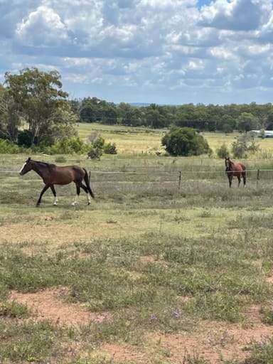 Property 1, 311 Lyndhurst Lane, ROSENTHAL HEIGHTS QLD 4370 IMAGE 0