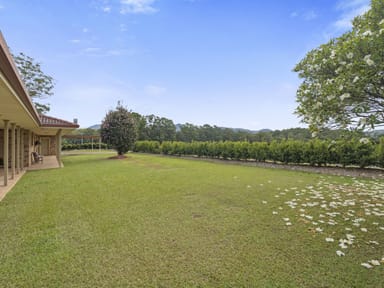 Property 110 East Bonville Rd, Bonville NSW 2450 IMAGE 0