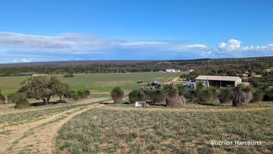 Property Lot 249 Nabaroo Road, COWALLA WA 6503 IMAGE 0