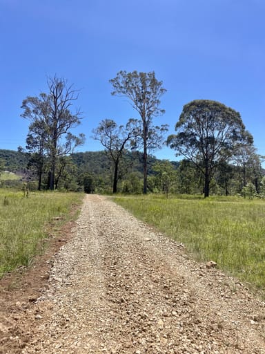 Property Lot 131 Bunnoo River Road, ELLENBOROUGH NSW 2446 IMAGE 0