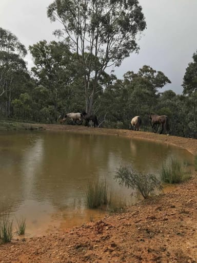 Property 242 Marble Hill Road, Kingsdale NSW 2580 IMAGE 0