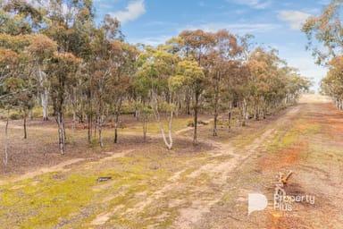 Property 5936 Muckleford-Castlemaine Road, MUCKLEFORD VIC 3451 IMAGE 0