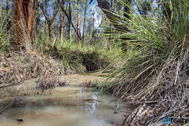 Property Lot 21 Pine Ridge Road, Condamine Farms QLD 4357 IMAGE 0