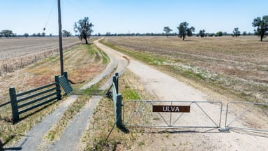 Property 518 Drain Lane, Collendina NSW 2646 IMAGE 0