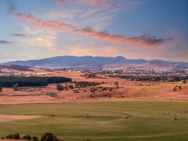 Property 342 Cove Hill Road, Honeywood TAS 7017 IMAGE 0