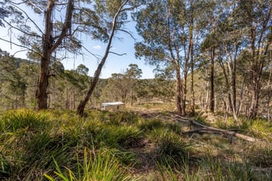 Property 153 Blue Bush Road, Wyanbene NSW 2622 IMAGE 0