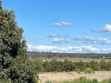 Property Lot 503 William Street, AUBIGNY QLD 4401 IMAGE 0