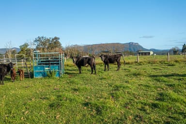 Property 180 Hewens Road, BROMBIN NSW 2446 IMAGE 0