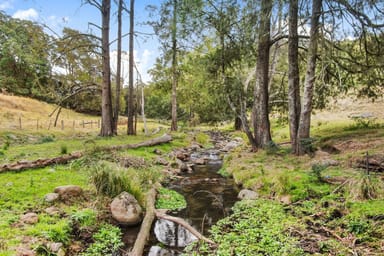 Property lot 1, neringla Araluen Road, Neringla NSW 2622 IMAGE 0