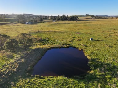 Property Crooked Bridge 3624 Monaro Highway, NIMMITABEL NSW 2631 IMAGE 0