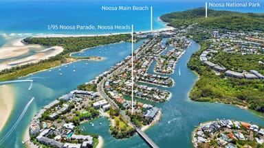 Property 1, 95 Noosa Parade, NOOSA HEADS QLD 4567 IMAGE 0