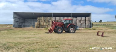 Property 2506 Lower Denmark Road, Kronkup WA 6330 IMAGE 0