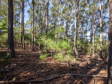 Property 9 Beattie Lane, Lochiel NSW 2548 IMAGE 0